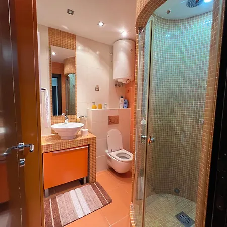 アパート Luxurious Oasis ノヴィ・サド